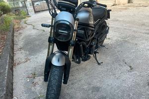 LEONCINO BENELLI PARI AL NUOVO 