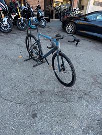 Focus izalco max