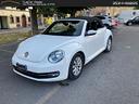 volkswagen-maggiolino-vw-maggiolino-cabrio-1-6474