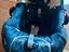 Immagine 1