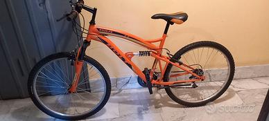 mountain bike 