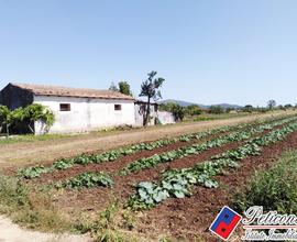 Terreno agricolo - Fondi