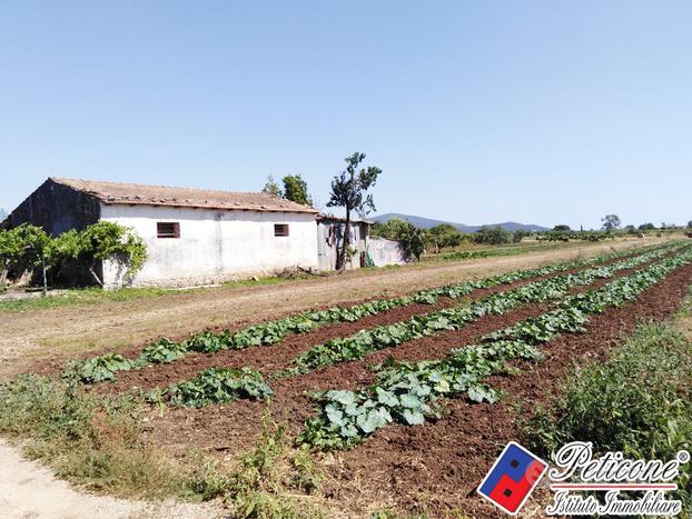 Terreno agricolo - Fondi