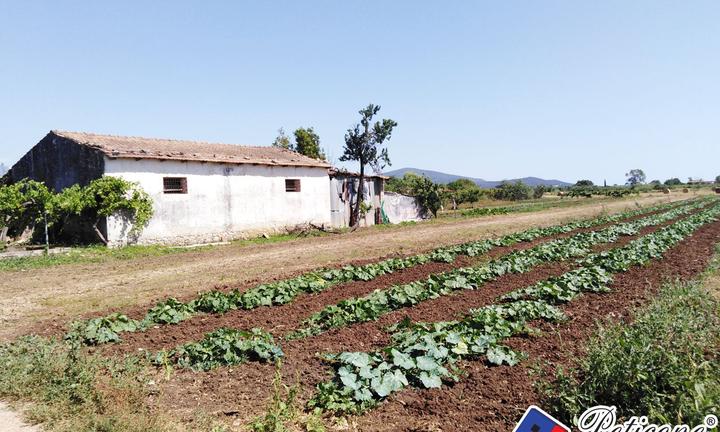 Terreno agricolo - Fondi
