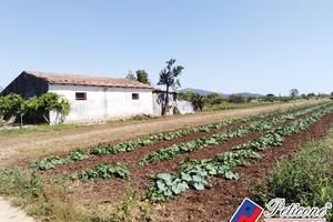 Terreno agricolo - Fondi