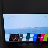 Smart Tv LG 55 OLED 4K modello 55B8PLA WEB OS