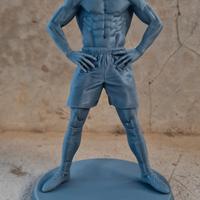 statuina cr7