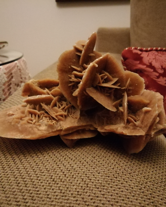 Pietra, rosa del deserto