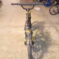 carnielli graziella coss mx3