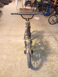 carnielli graziella coss mx3