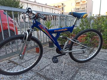 Mountain bike ruote 26