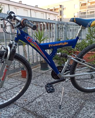Mountain bike ruote 26