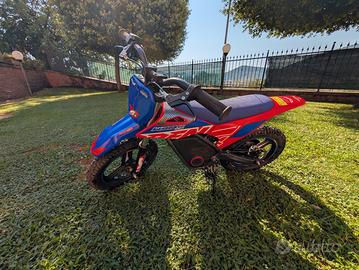 minicross elettrico Warrior 350