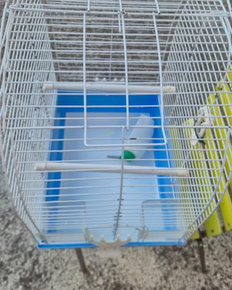 gabbia per pappagallo 