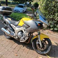 tdm 900