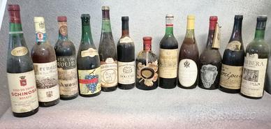 Vini da collezione-esposizione