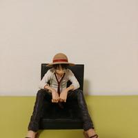 Action figure One piece