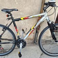 bicicletta olmo