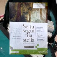 Se tu segui tua stella 1 /Dalle origini a Tasso