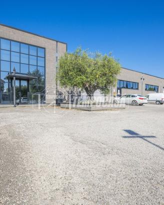 Capannone a Porto Sant'Elpidio 12 locali