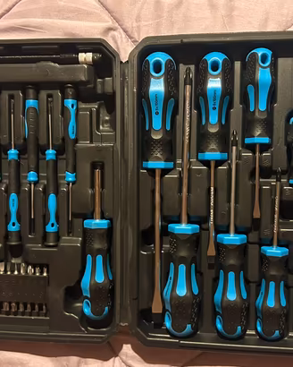 Set cacciaviti