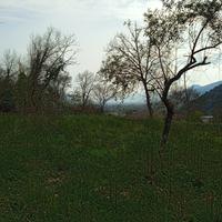 Terreno semi boschivo 8.096mtq