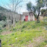 Terreno Agricolo con Ulivi e Rudere edificabile