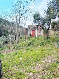 Terreno Agricolo con Ulivi e Rudere edificabile