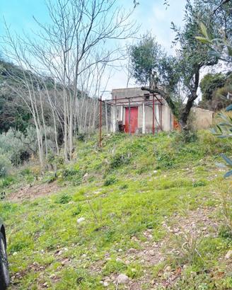 Terreno Agricolo con Ulivi e Rudere edificabile