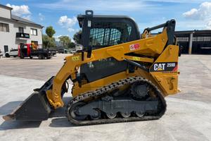 Cat 259 D