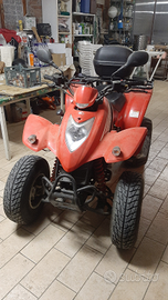 Kymco kxr250