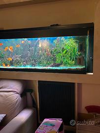  Acquario completo con pesci e accessori