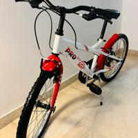 Bicicletta