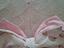 Immagine 4