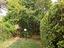 Immagine 11