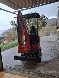 Miniescavatore 10 quintali