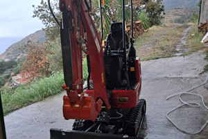Miniescavatore 10 quintali