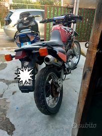 Terminale Yamaha xt 600