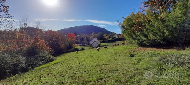 TER. AGRICOLO A ALATRI