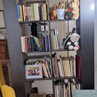 Libreria bifacciale Novamobili
