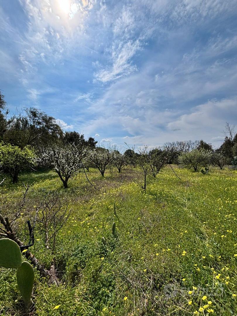 Terreno agricolo - Vista 2