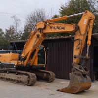 Escavatore cingolato Hyundai Robex 220NLC-9A