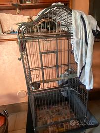 Stupenda voliera grossi volatili