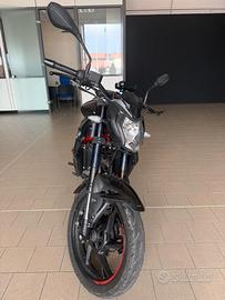 Benelli BN 125 Nera/Rossa