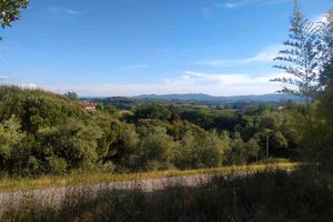 TERRENO EDIFICABILE mq.900 -con OLIVETA a PALAIA