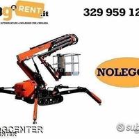 Ragno telescopico