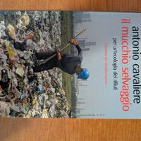 Il mucchio selvaggio