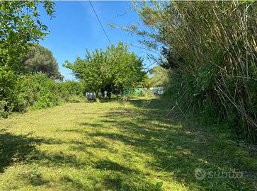 Terreno agricolo Livorno