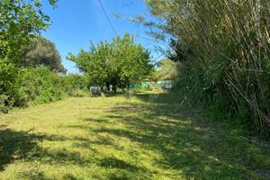 Terreno agricolo Livorno