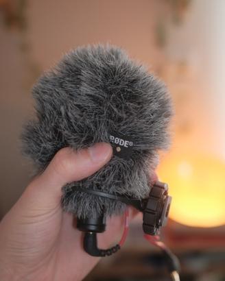 Microfono Professionale Rode Videomicro